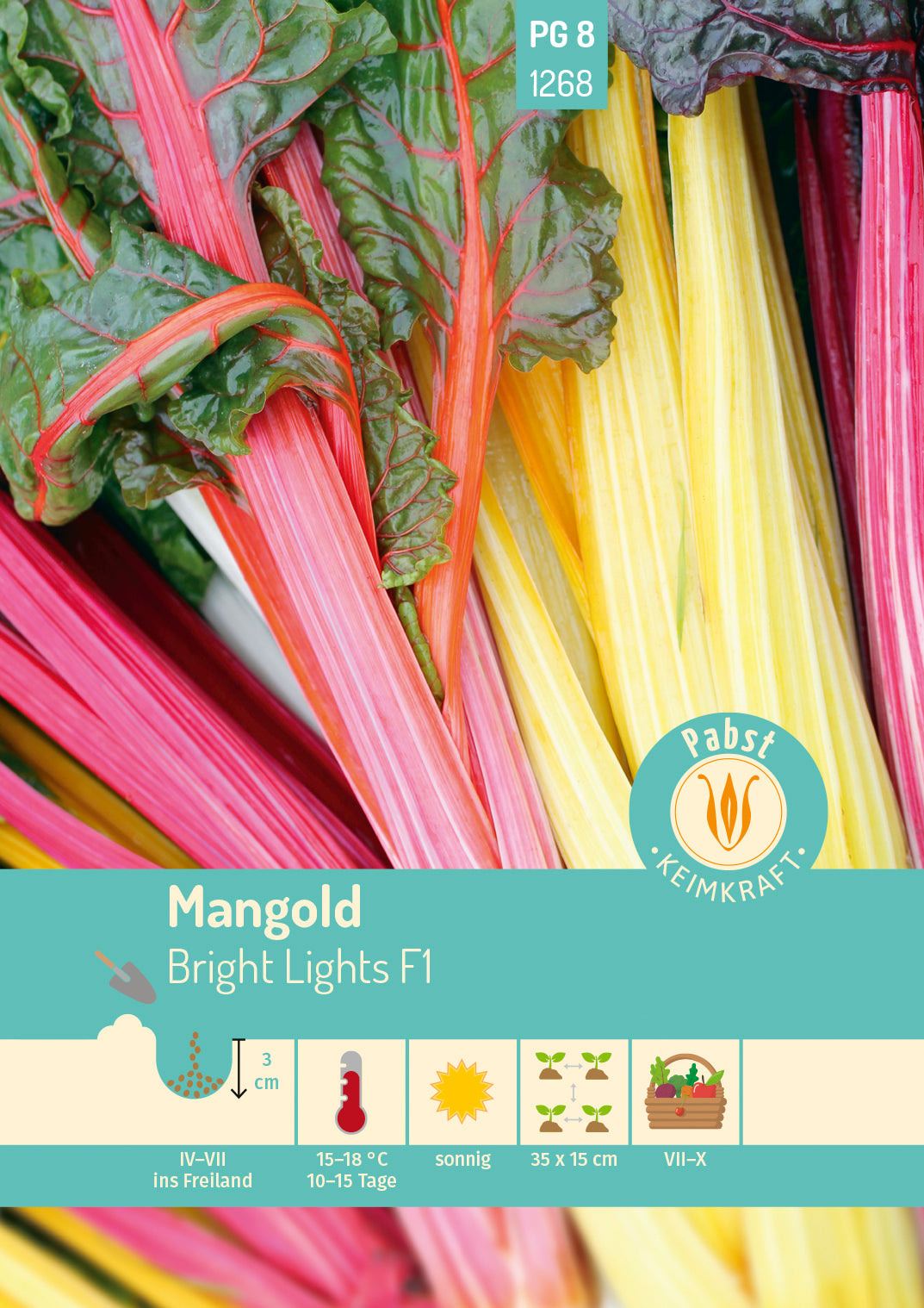 Pabst Keimkraft Mangold Bright Lights