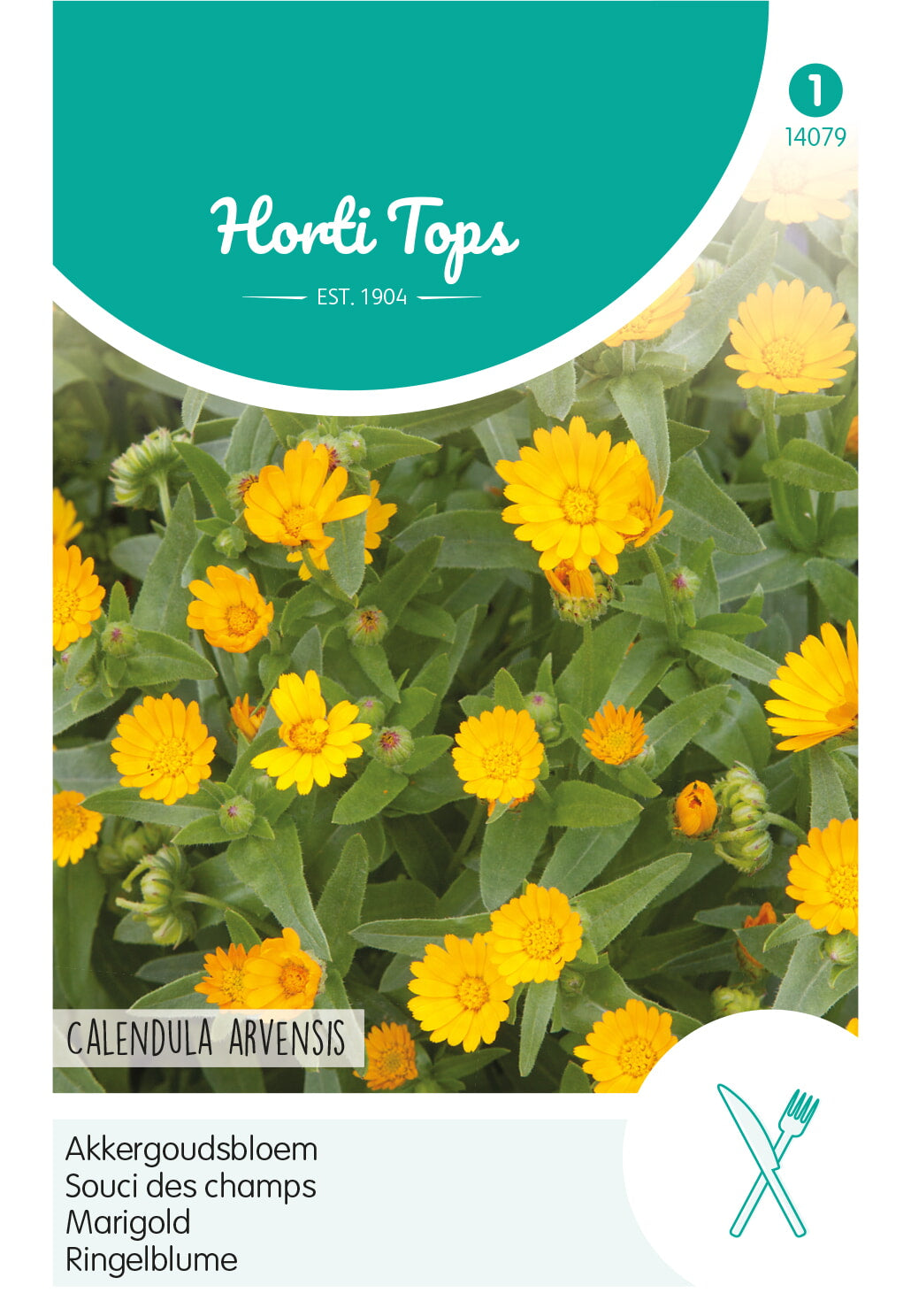 Horti Tops Ringelblume Arvensis