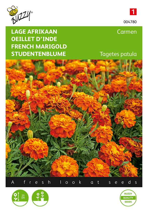 Buzzy Seeds Studentenblumen Carmen