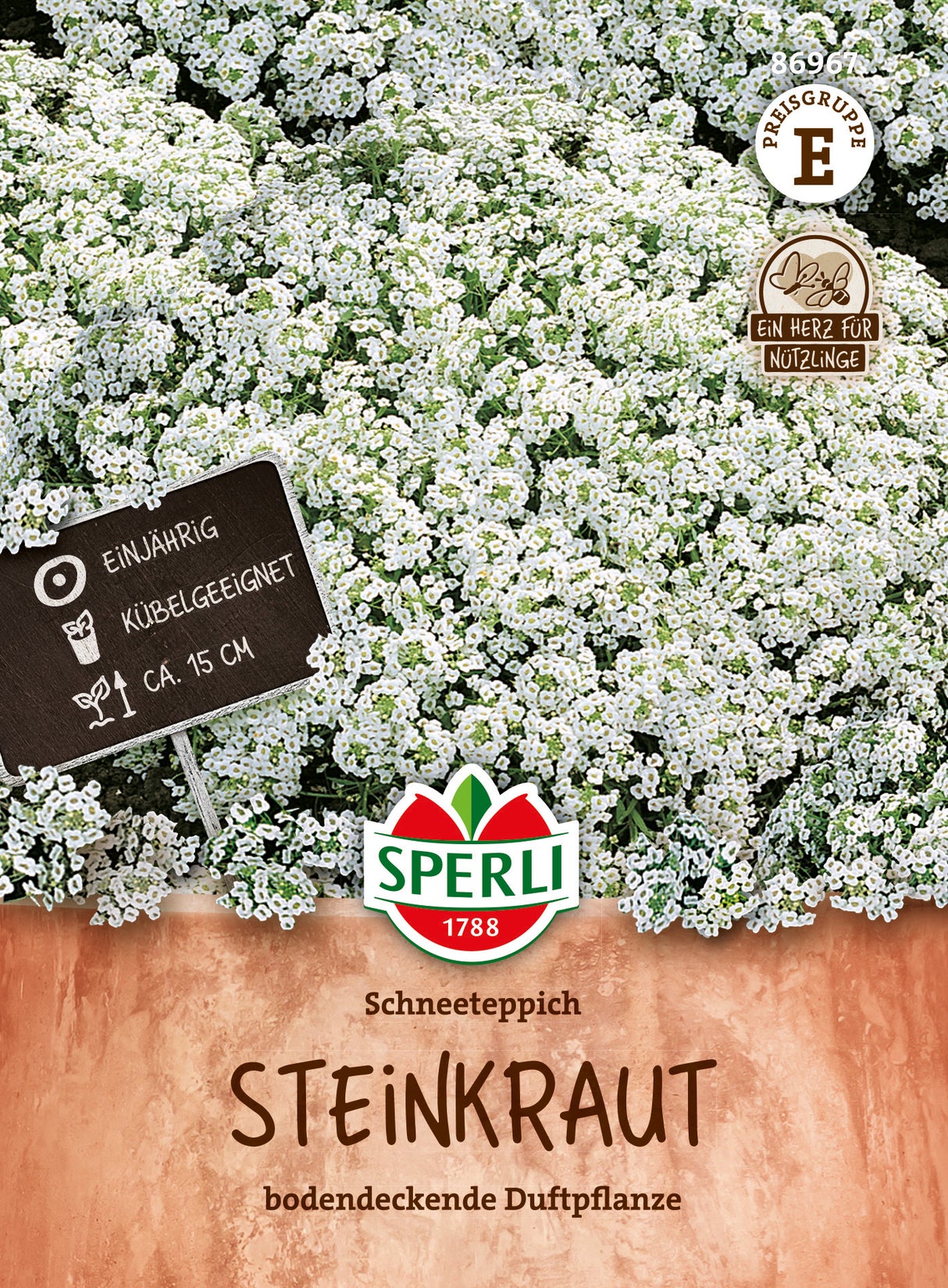 SPERLI Steinkraut Schneeteppich