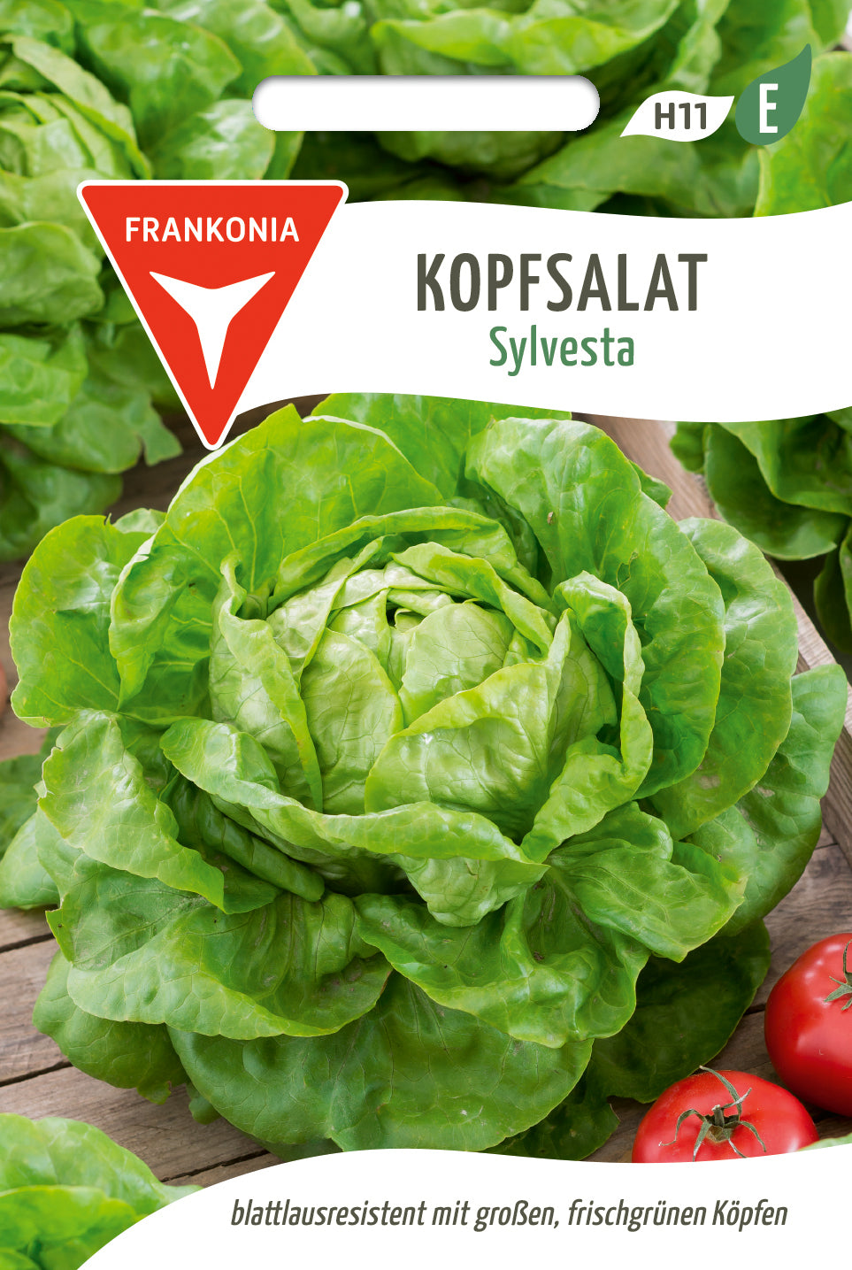 Frankonia Samen Kopfsalat Sylvesta