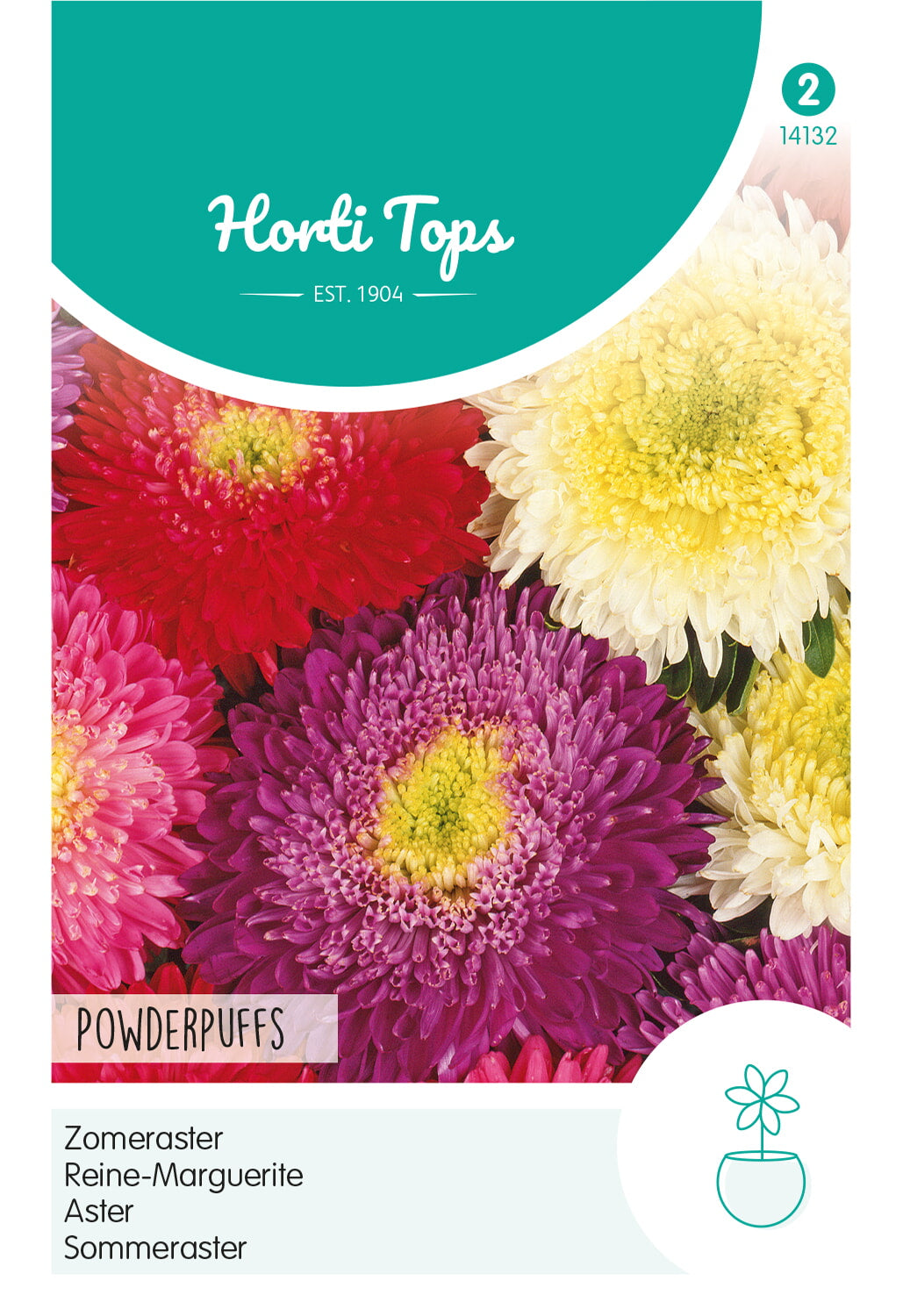 Horti Tops Sommeraster Bukett Powderpuff Mischung