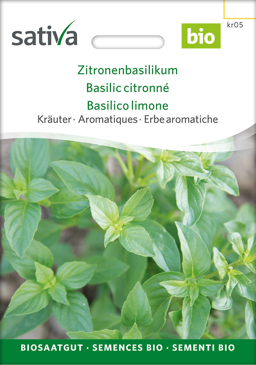 Sativa Zitronenbasilikum