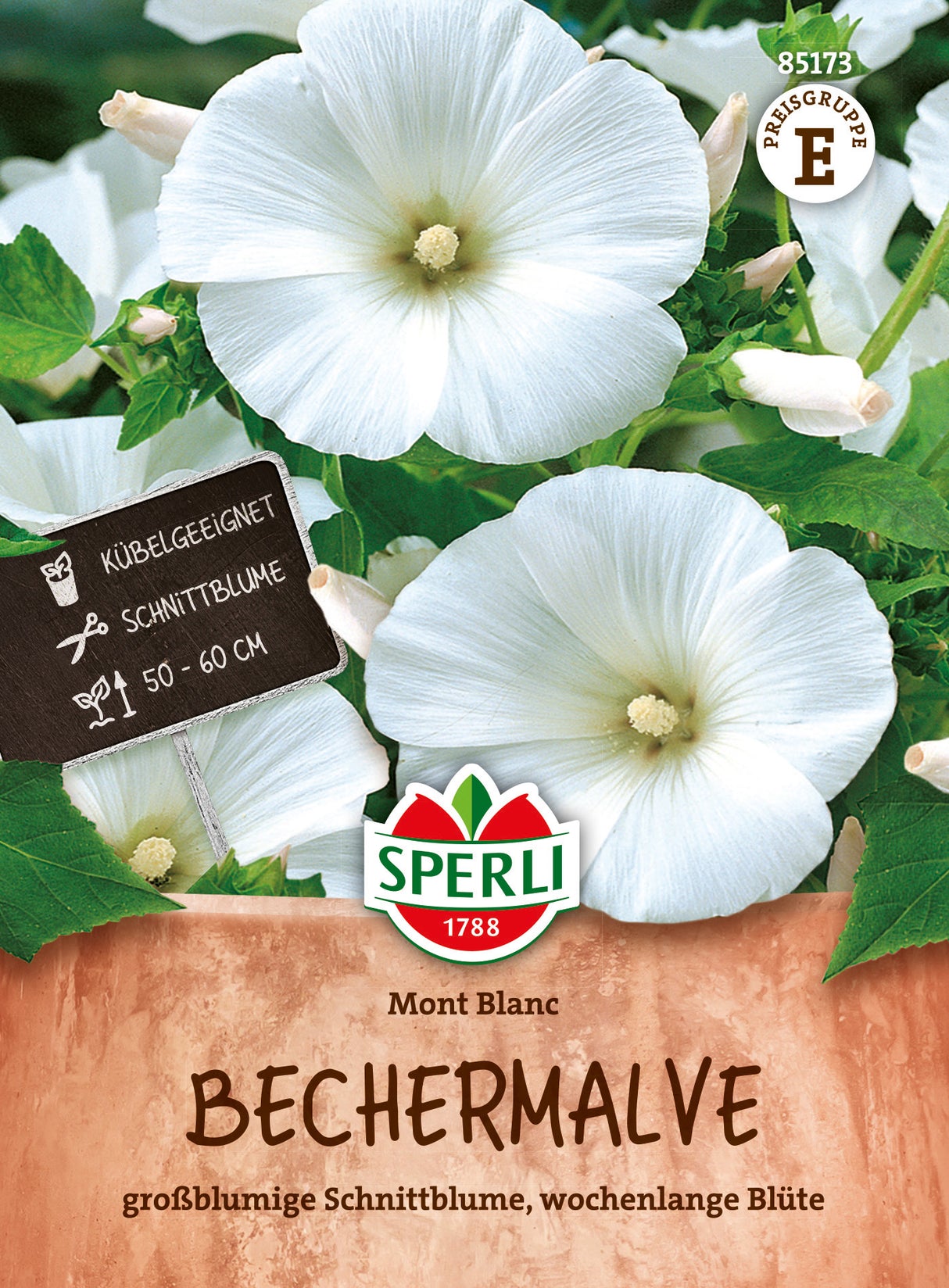 SPERLI Bechermalve Mont Blanc