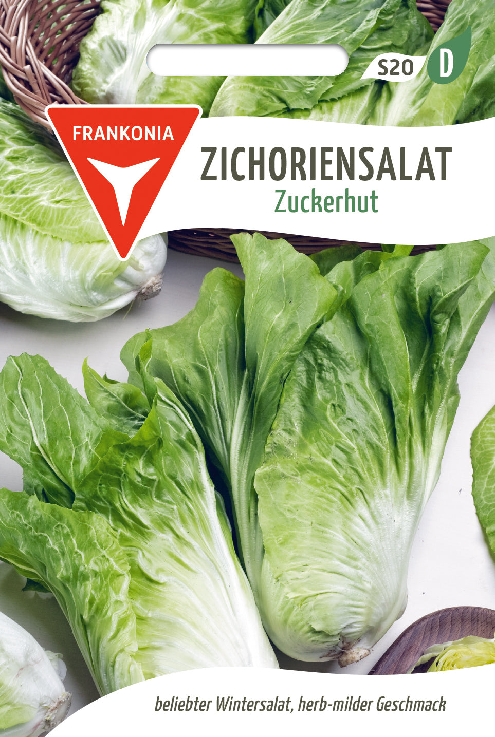 Frankonia Samen Zichoriensalat Zuckerhut