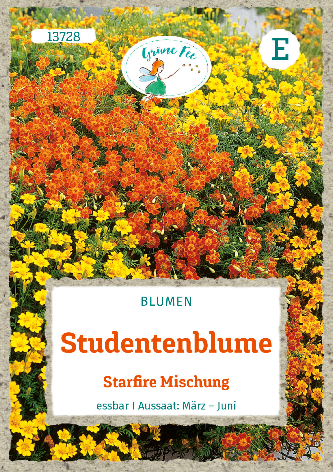 Grüne Fee Studentenblume Starfire Mischung