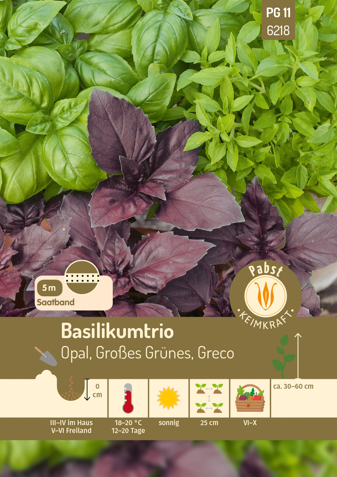Pabst Keimkraft Basilikum Opal, Großes Grünes, Greco Saatplatte