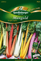 Quedlinburger Mangold Mischung Bright Lights