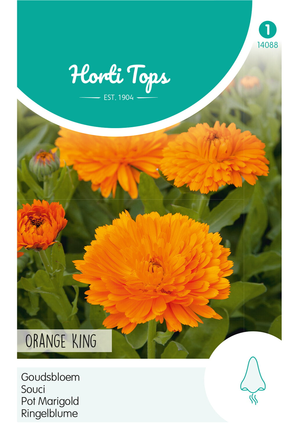 Horti Tops Ringelblume Gefüllte Orange König