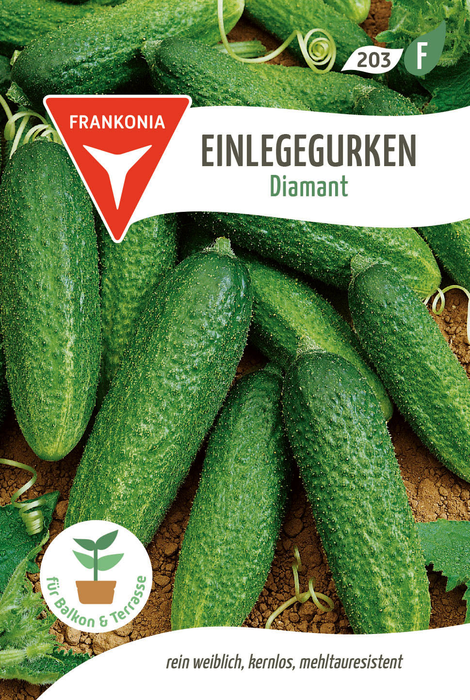 Frankonia Samen Einlegegurken Diamant