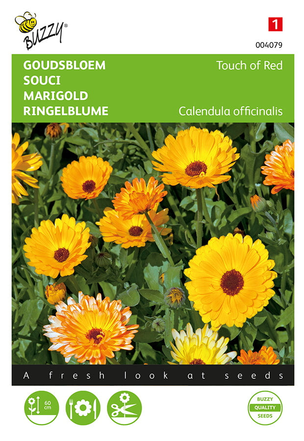 Buzzy Seeds Ringelblumen Touch of Red Mischung