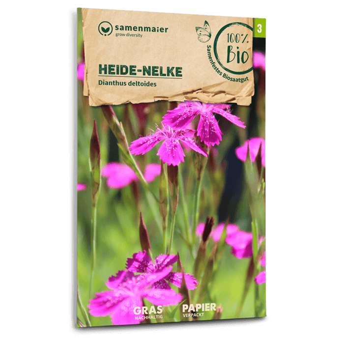 Samen Maier BIO Heidenelke