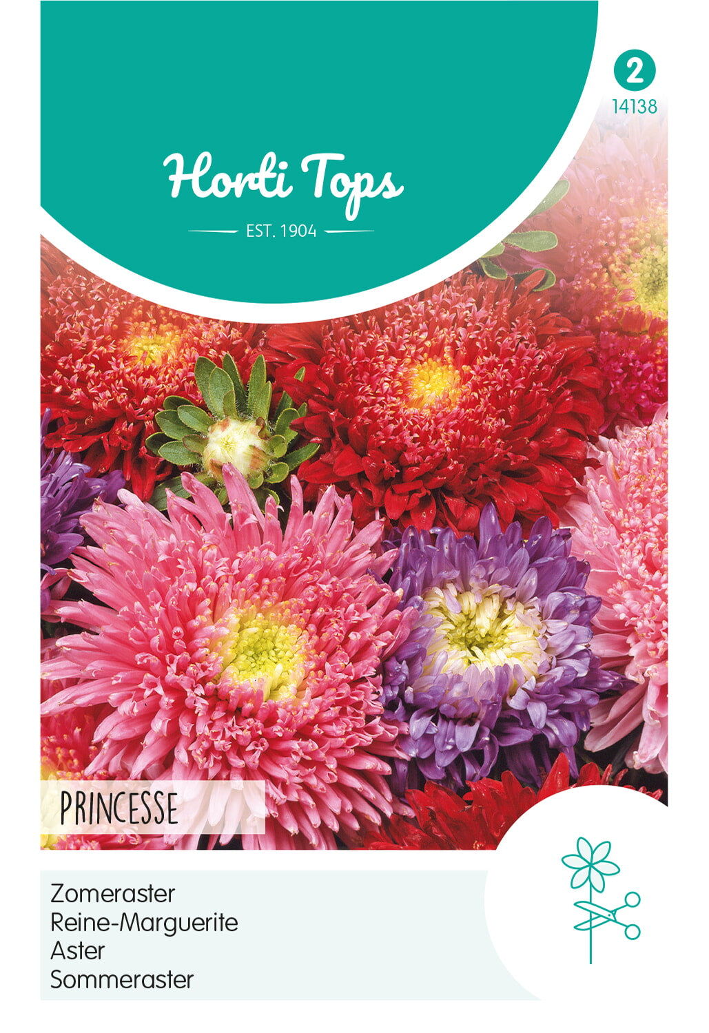 Horti Tops Sommeraster Riesen Prinzess Mischung