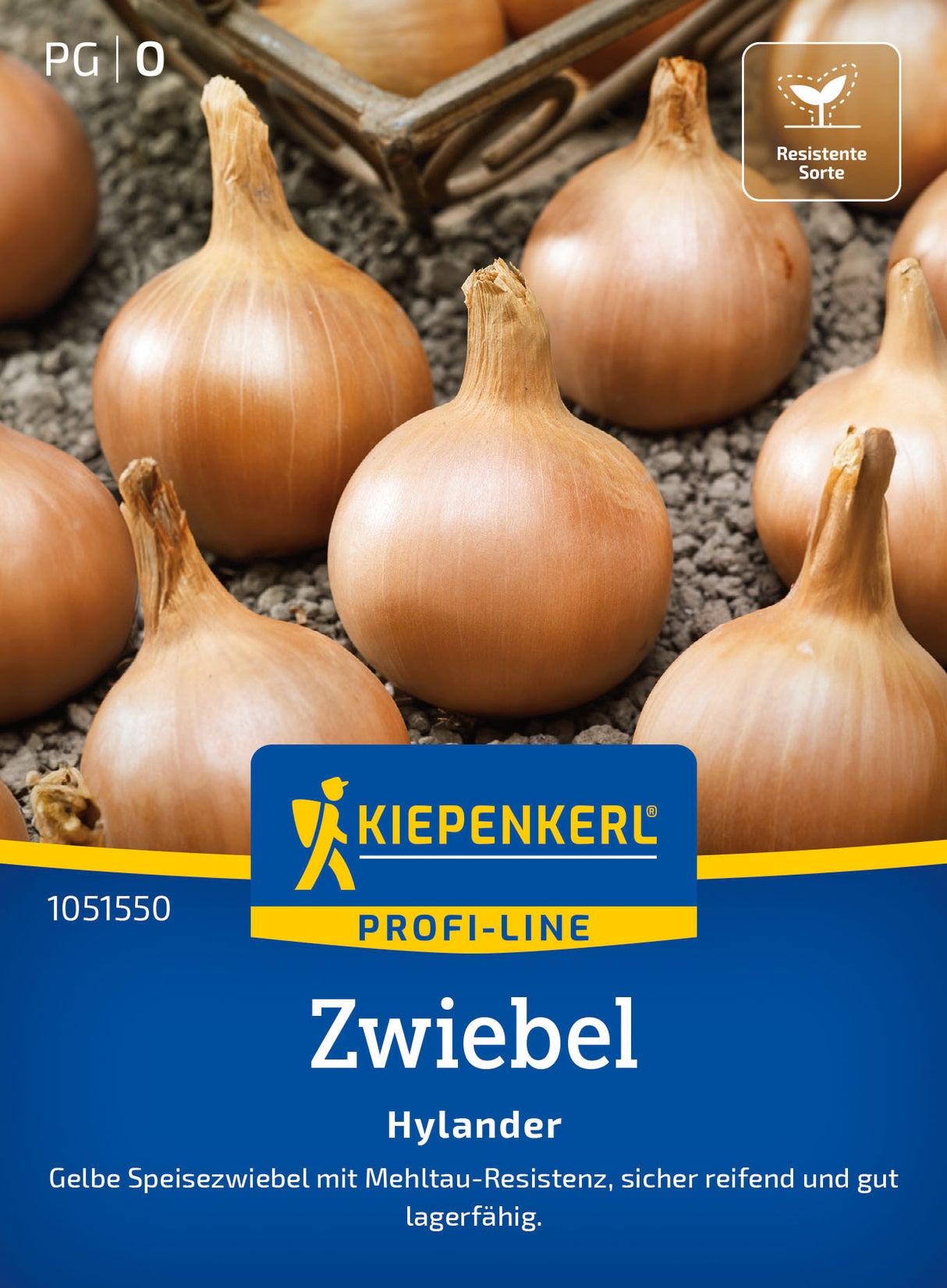 Kiepenkerl Zwiebel Hylander