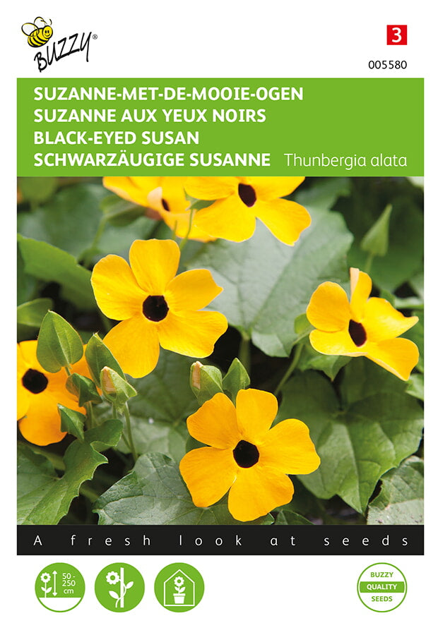 Buzzy Seeds Schwarzaügige Susanne