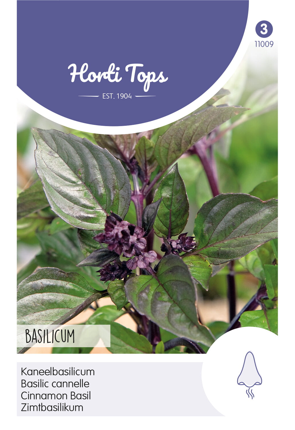 Horti Tops Zimtbasilikum