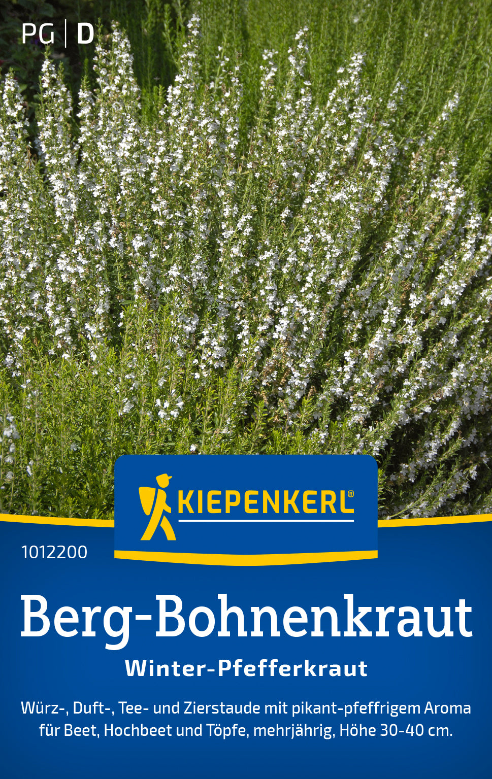 Kiepenkerl Bergbohnenkraut Winter-Pfefferkraut