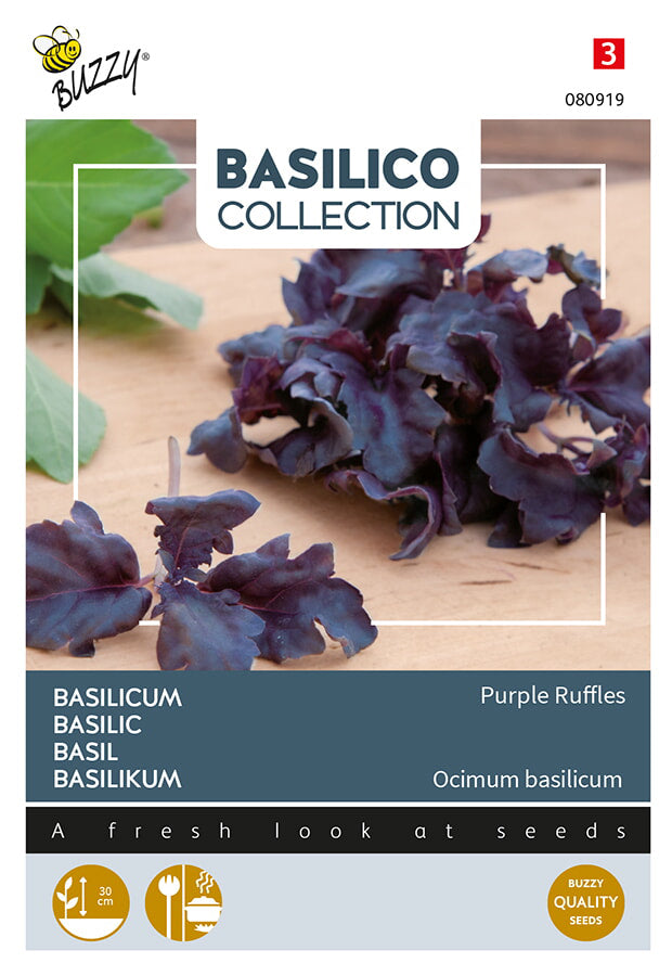 Buzzy Seeds Basilikum  Purple Ruffles