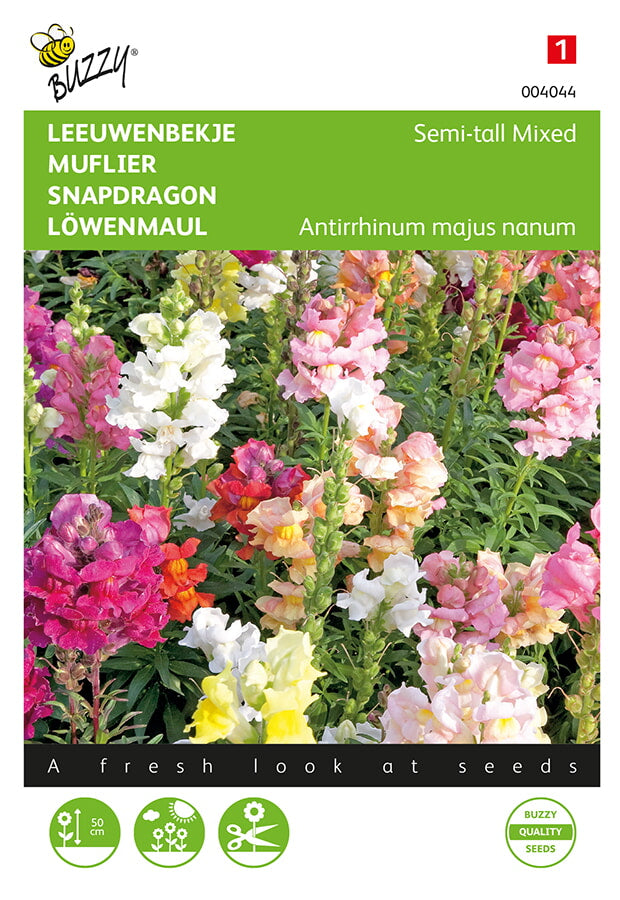 Buzzy Seeds Löwenmaul Halbhohe Mischung