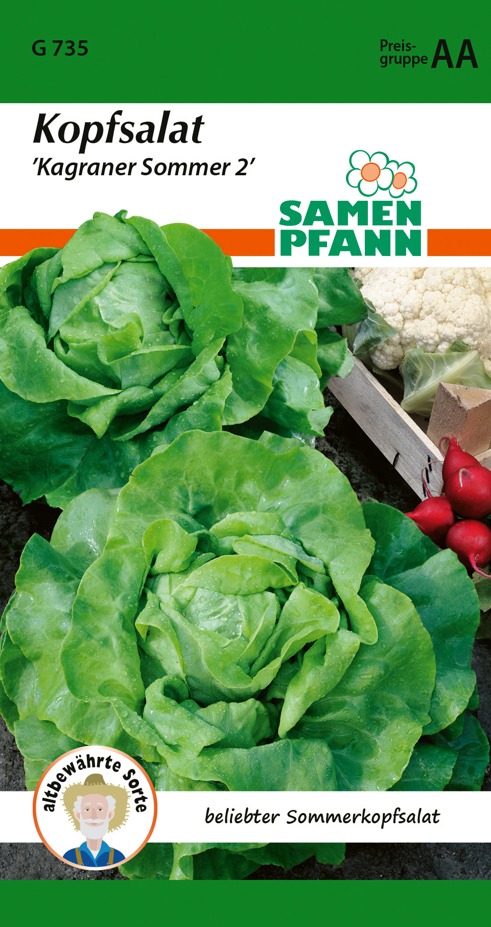 Samen Pfann Kopfsalat Kagraner Sommer 2