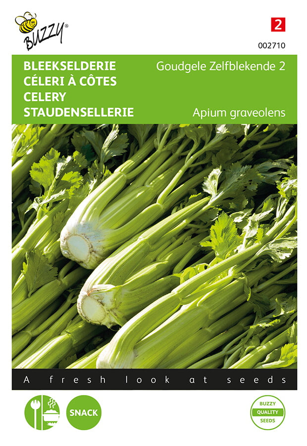 Buzzy Seeds Stangensellerie Goldgelber 2