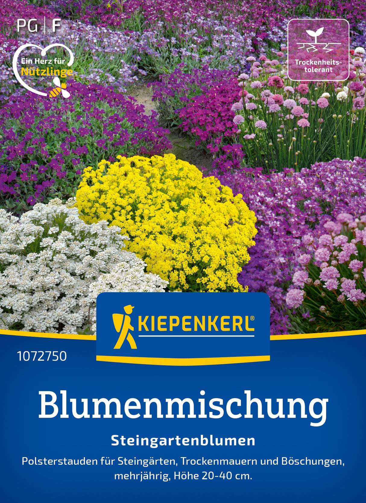 Kiepenkerl Blumensamen-Mischung Steingartenblumen