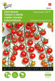 Buzzy Seeds Kirschtomaten Supersweet 100 F1