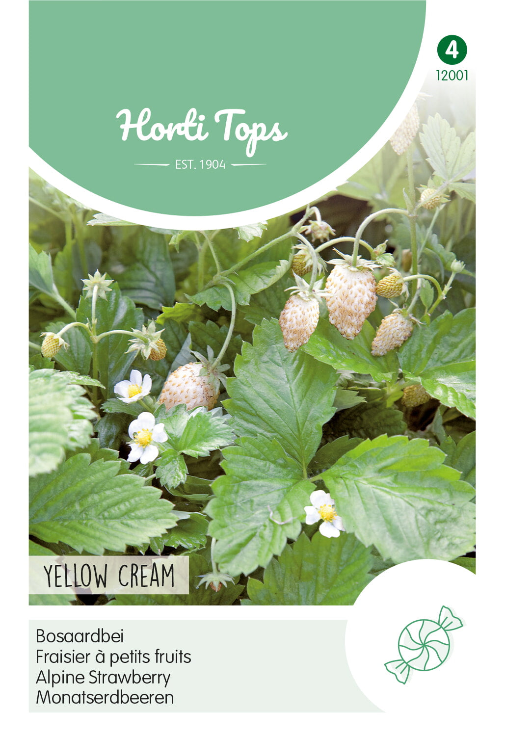 Horti Tops Monatserdbeere Yellow Cream