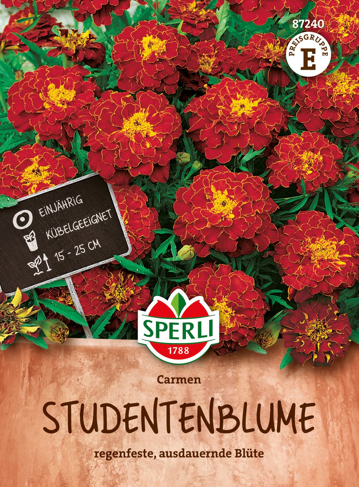 SPERLI Studentenblume Carmen