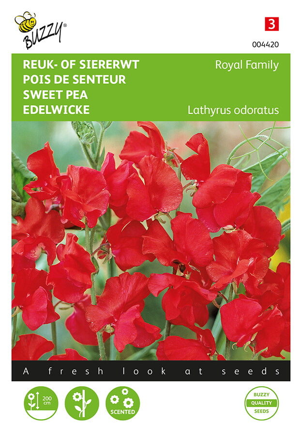 Buzzy Seeds Edelwicken Royal Family Rot