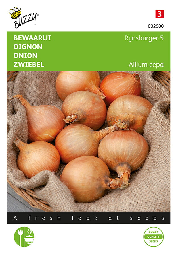 Buzzy Seeds Zwiebel Rijnsburger 5