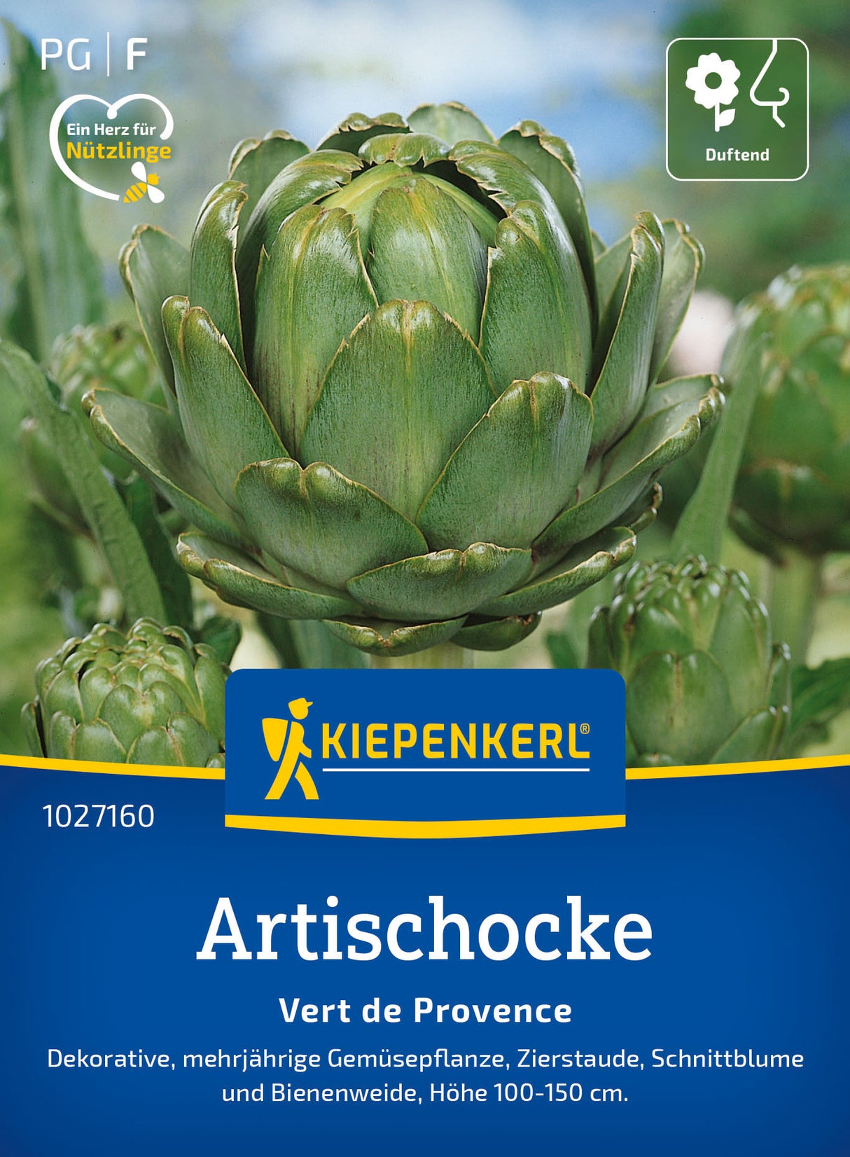 Kiepenkerl Artischocken Vert de Provence