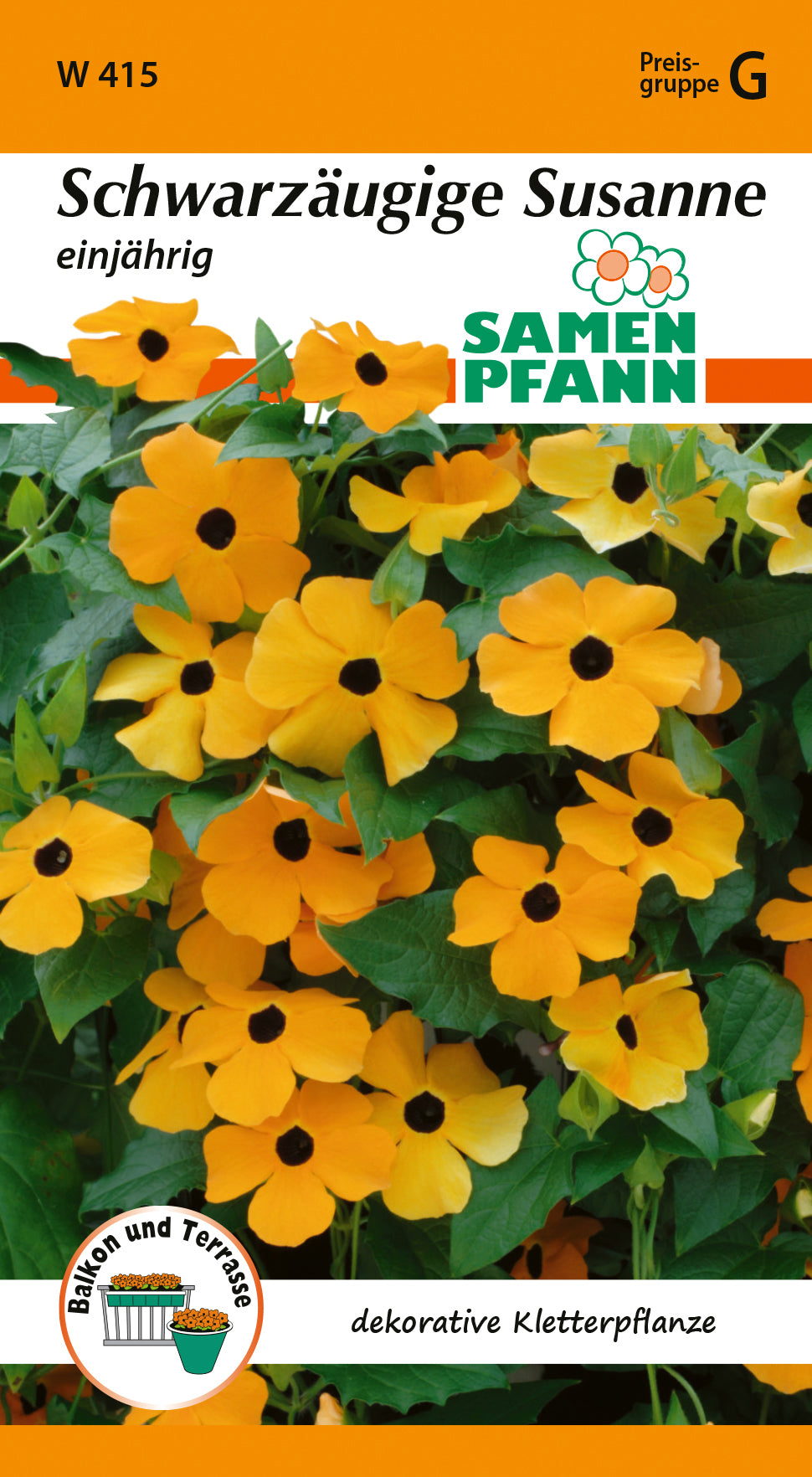 Samen Pfann Schwarzäugige Susanne Einjährig