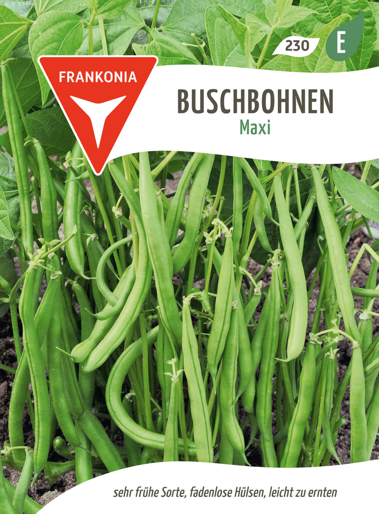 Frankonia Samen Buschbohnen Maxi