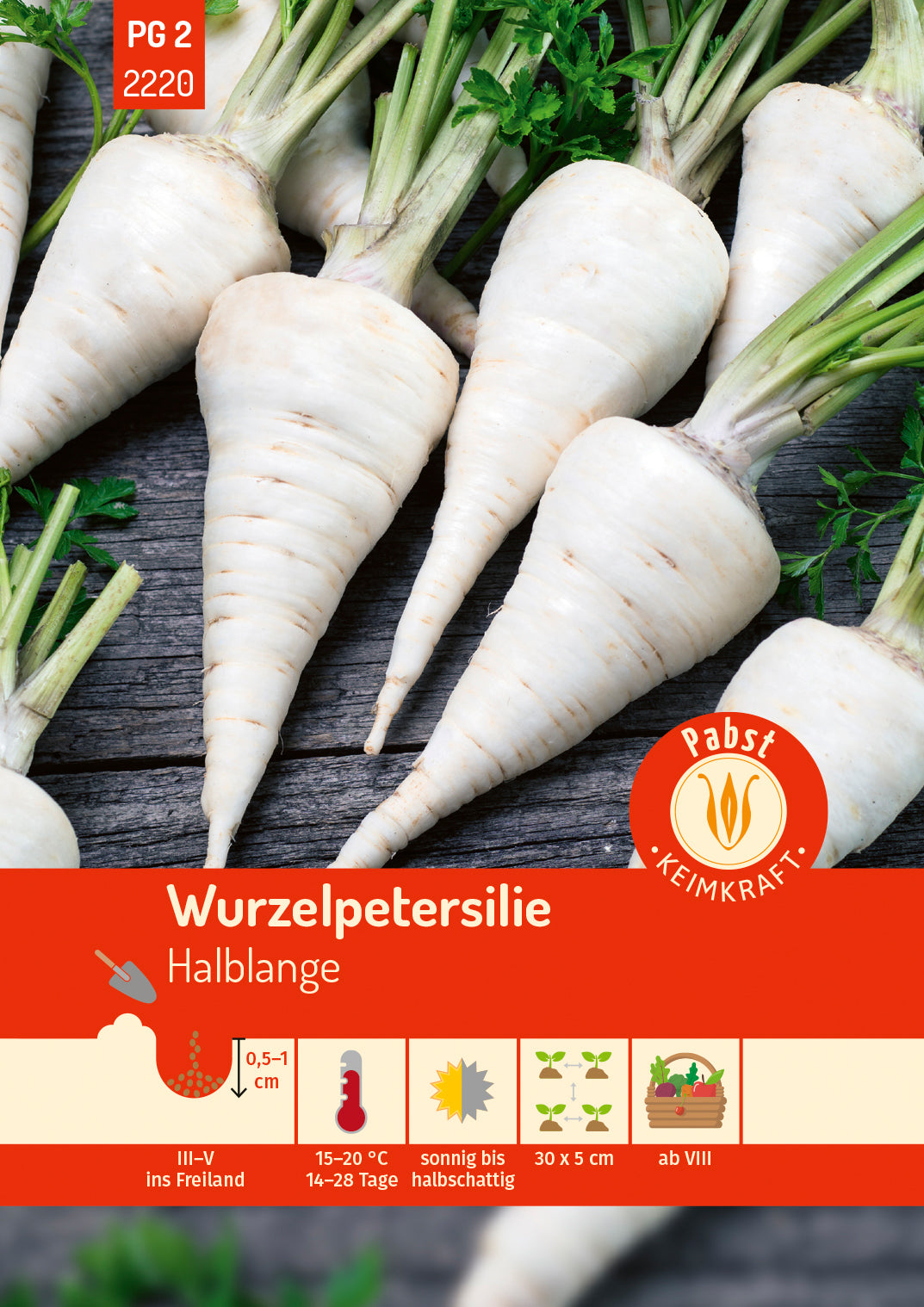 Pabst Keimkraft Wurzelpetersilie Halblange