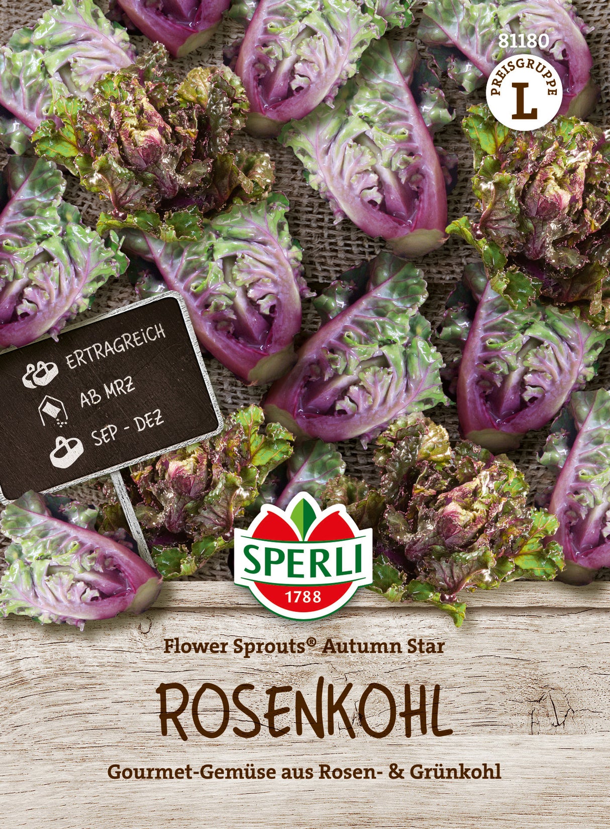 SPERLI Kohl Flower Sprouts® Autumn Star