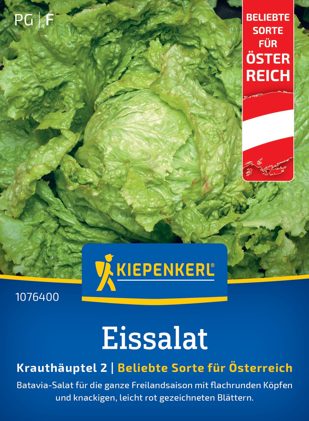 Kiepenkerl Eissalat Grazer Krauthäuptel 2 Österreich Sorte
