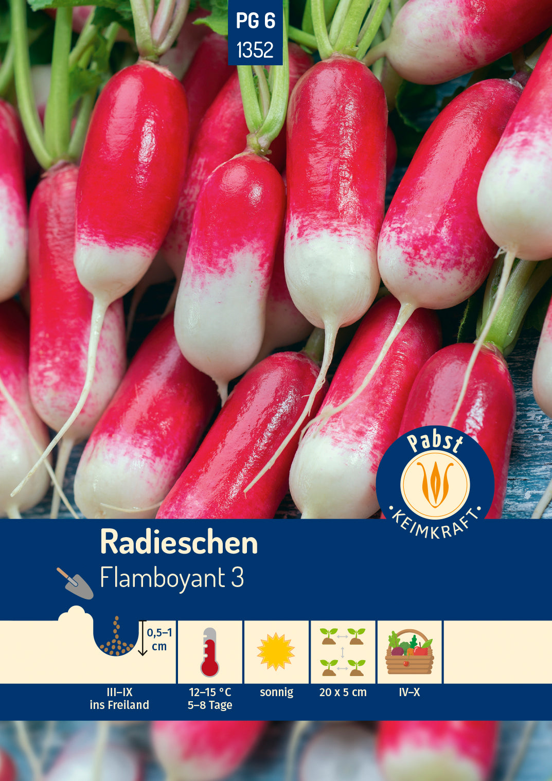 Pabst Keimkraft Radieschen Flamboyant 3