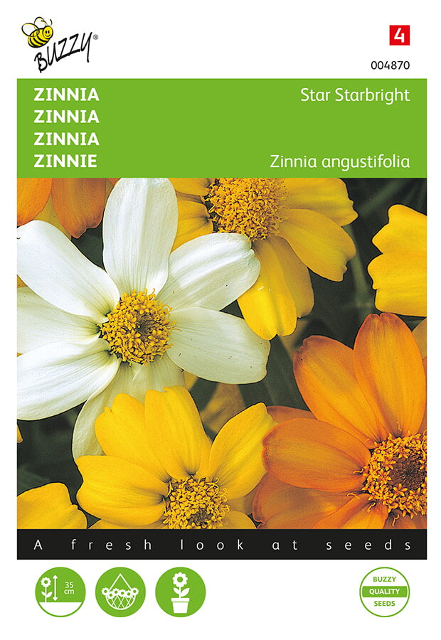 Buzzy Seeds Zinnien Starbright Mischung