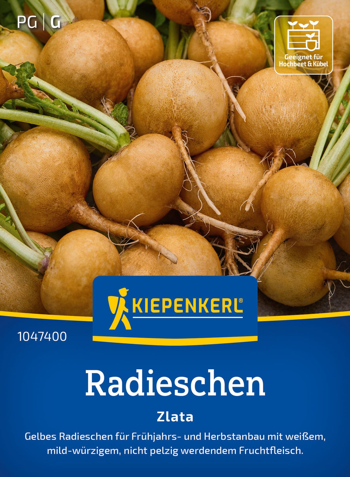 Kiepenkerl Radieschen Zlata