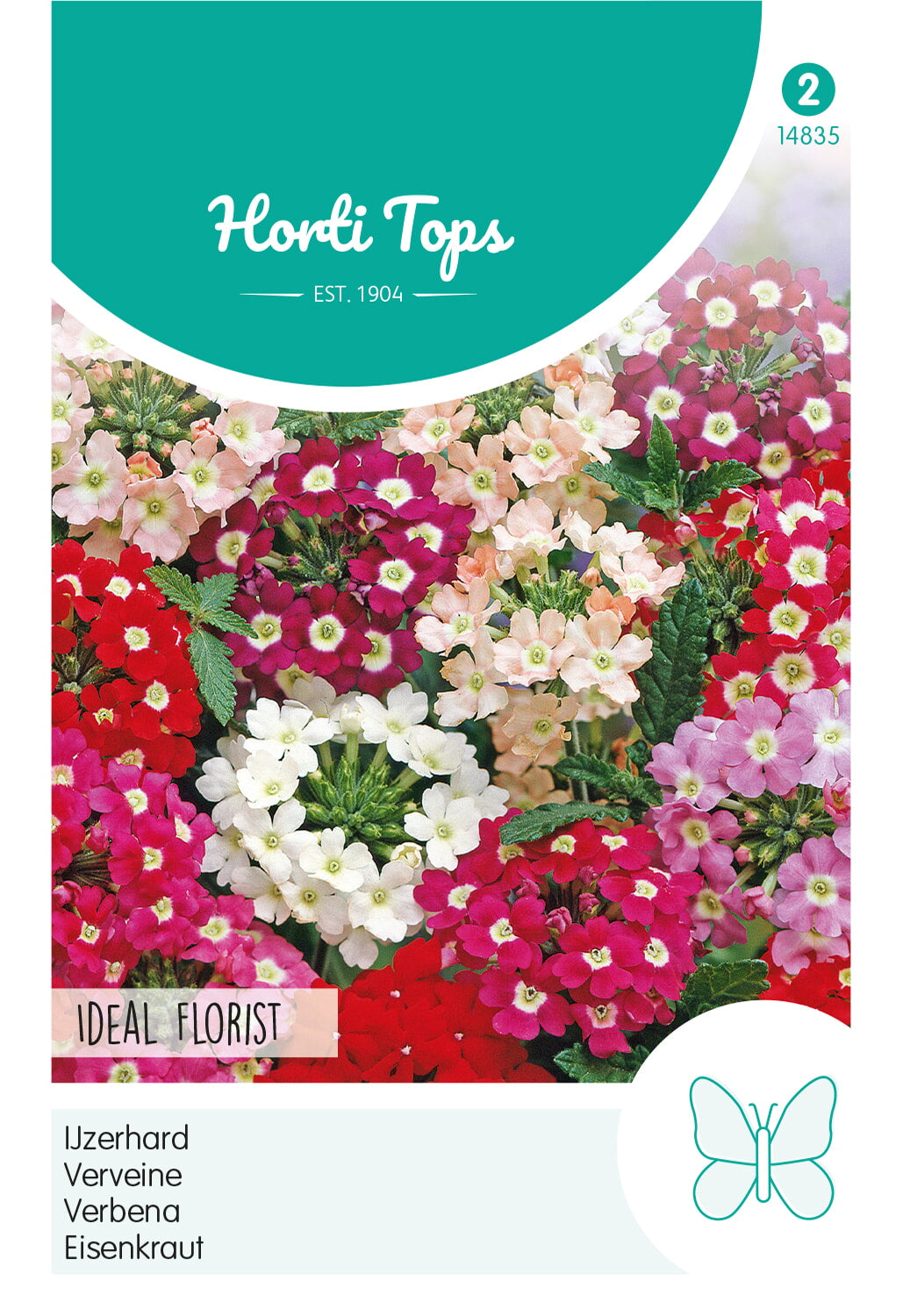 Horti Tops Eisenkraut Ideal Florist Mischung