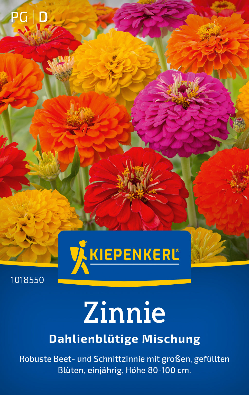 Kiepenkerl Zinnien Dahlienblütige Mischung