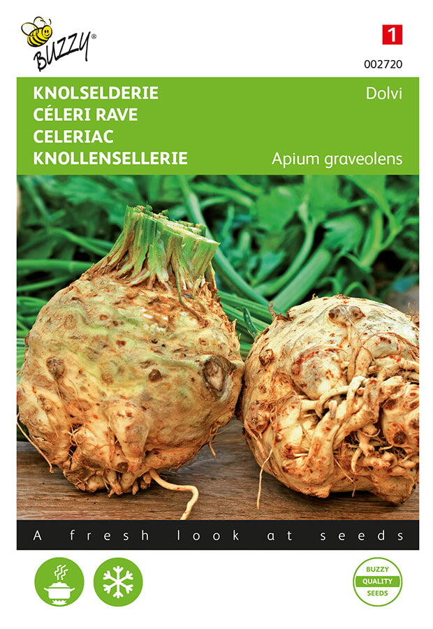 Buzzy Seeds Knollensellerie Dolvi