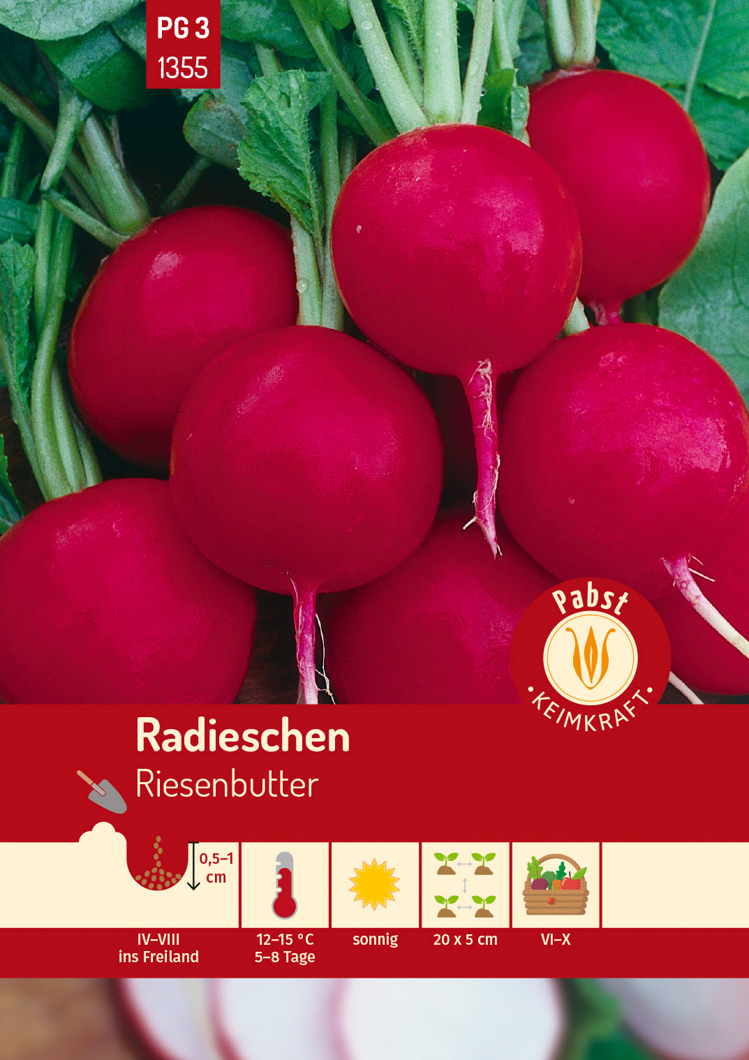 Pabst Keimkraft Radieschen Riesenbutter