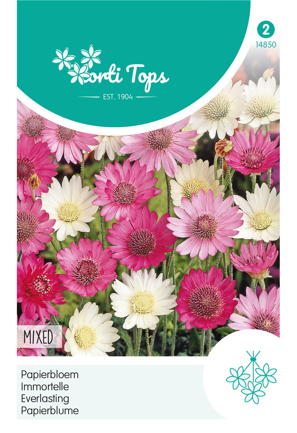 Horti Tops Papierblume Mischung