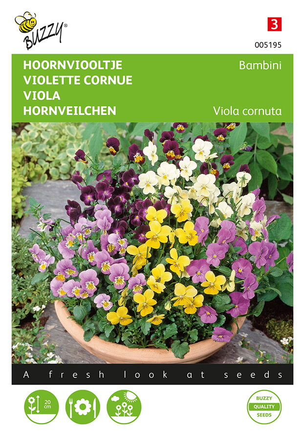 Buzzy Seeds Stiefmütterchen Bambini Mischung