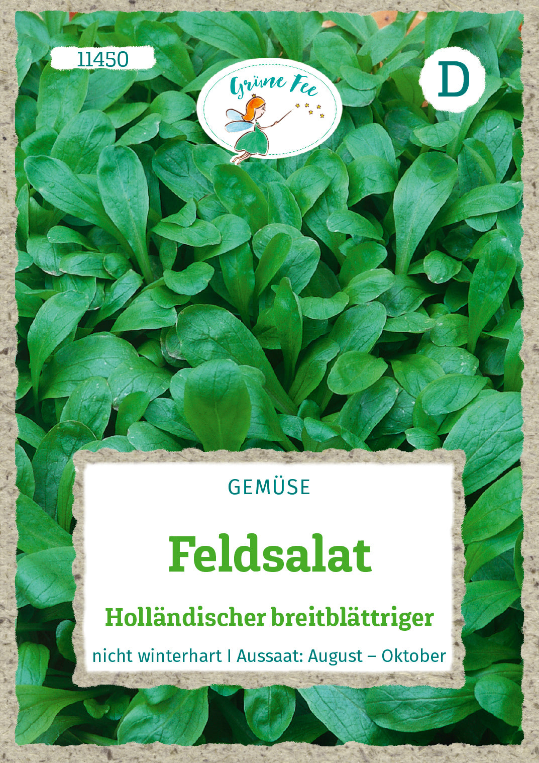 Grüne Fee Feldsalat Holländischer breitblättriger