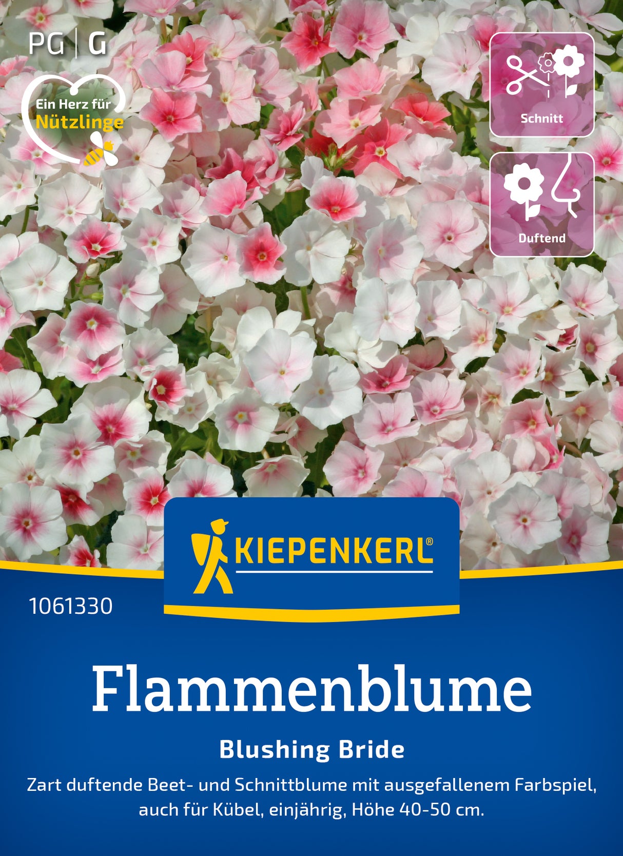 Kiepenkerl Flammenblumen Blushing Bride