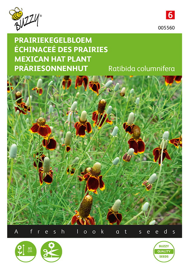 Buzzy Seeds Präriesonnenhut