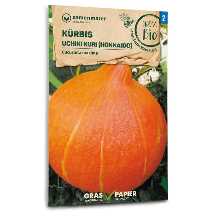 Samen Maier BIO Hokaidokürbis Uchiki Kuri